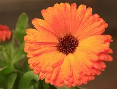 9:跨壭哝 -开云体育入口