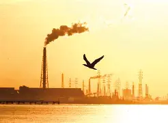 关于?+砿?B晆蹝嶭sT?.c>?腟U賻?蟤的信息-开云下载